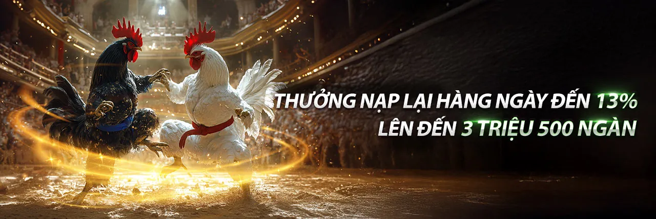 Hình ảnh chính Blog v788g - Nền tảng cá cược trực tuyến hàng đầu Việt Nam